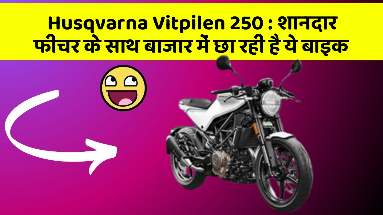 Husqvarna Vitpilen 250: शानदार फीचर के साथ बाजार में छा रही है ये बाइक